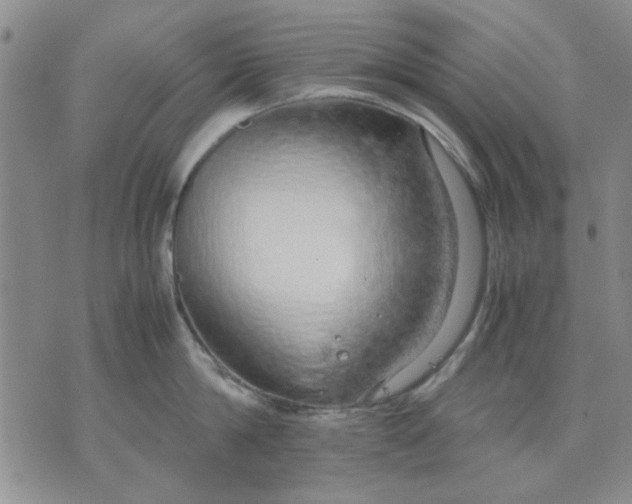 X0000071830814200607141658