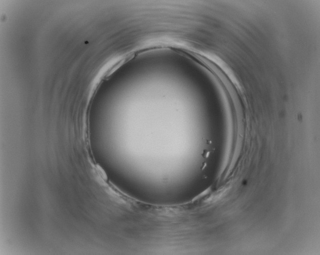 X0000071830815200607141658