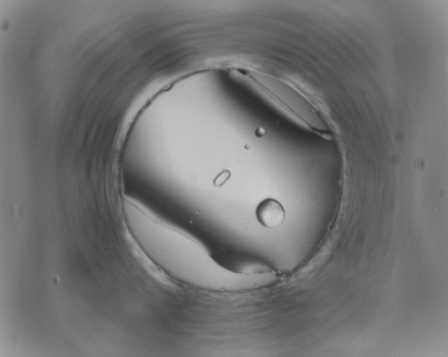 X0000071830816200607141658