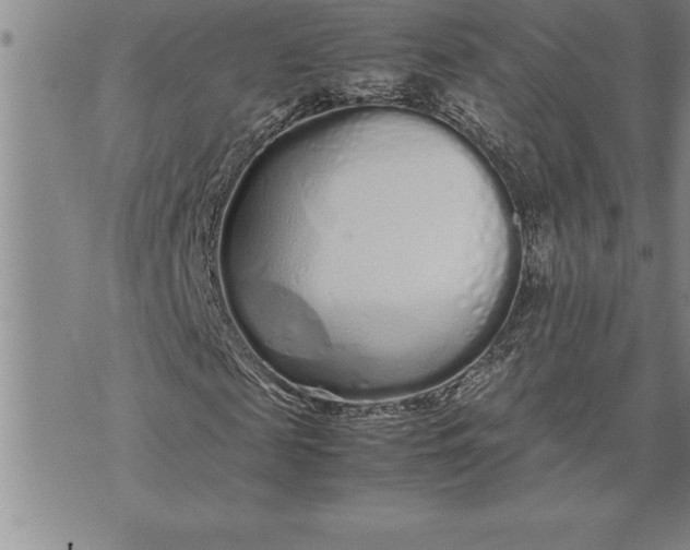 X0000071830817200607141658