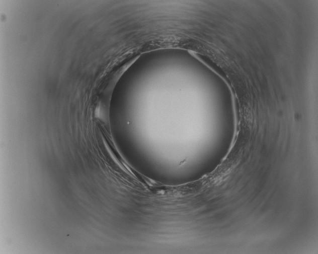 X0000071830818200607141658