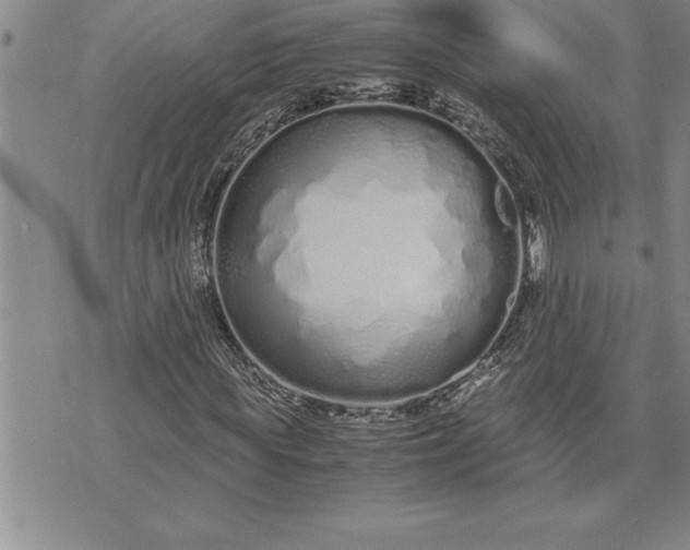 X0000071830819200607141658