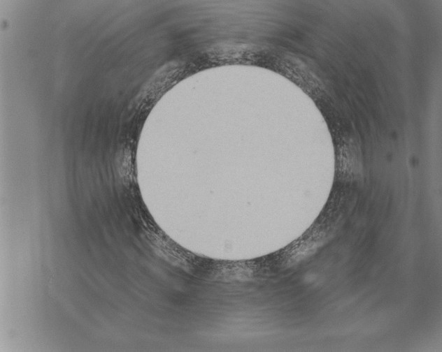 X0000071830820200607141658