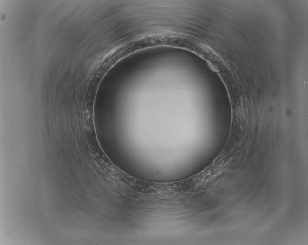 X0000071830822200607141658