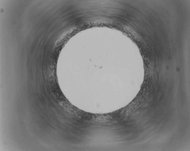 X0000071830824200607141658