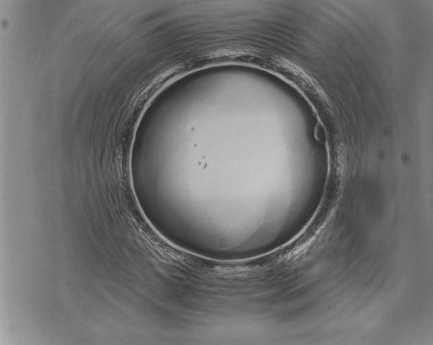 X0000071830825200607141658