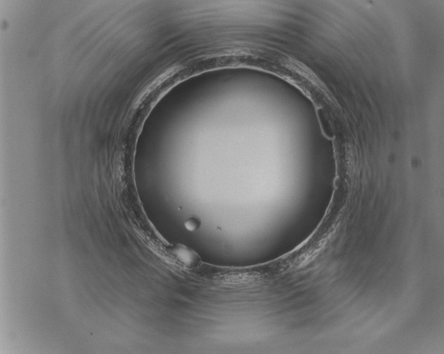 X0000071830826200607141658