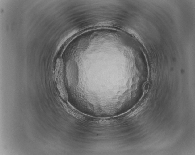 X0000071830827200607141658