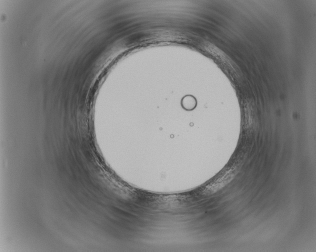 X0000071830828200607141658