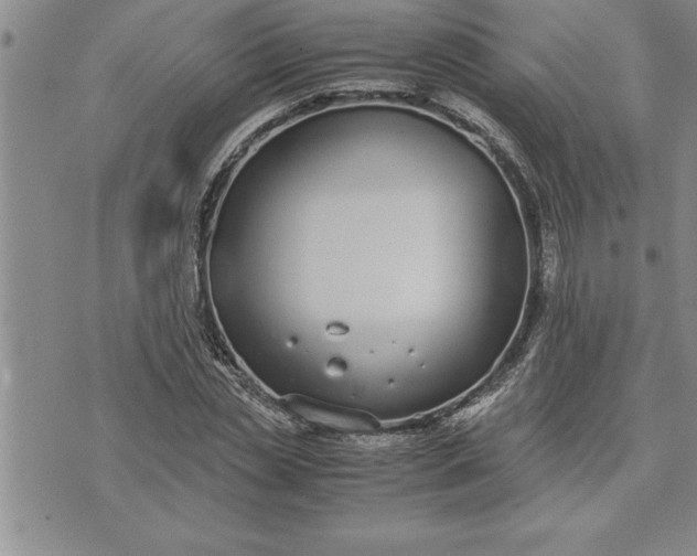 X0000071830829200607141658