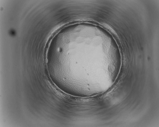 X0000071830831200607141658