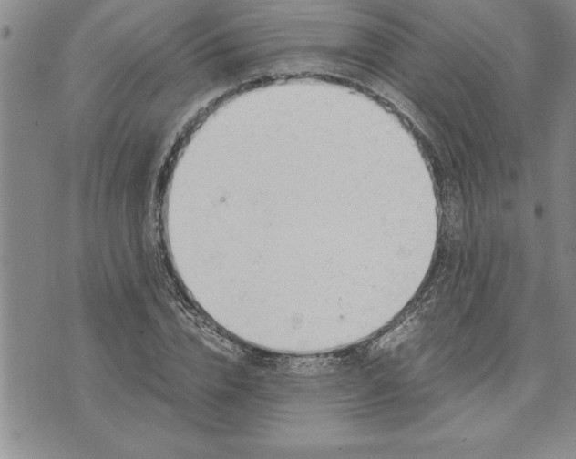 X0000071830832200607141658