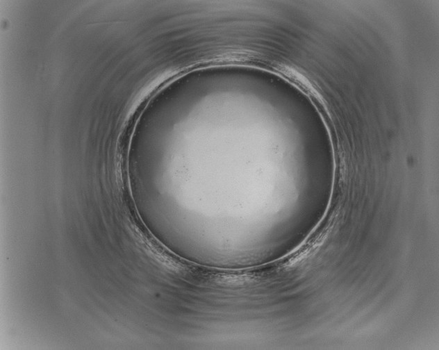 X0000071830835200607141658