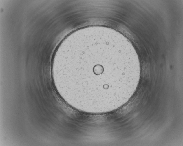 X0000071830836200607141658