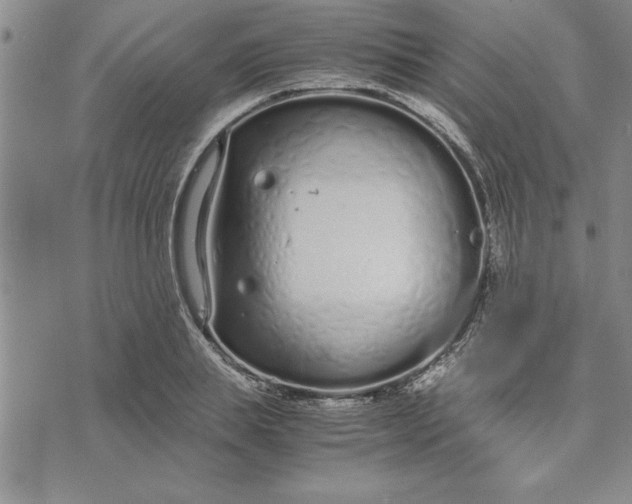 X0000071830839200607141658