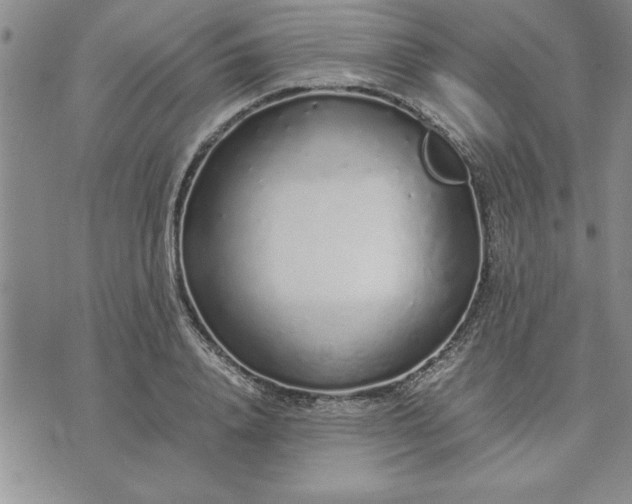 X0000071830840200607141658