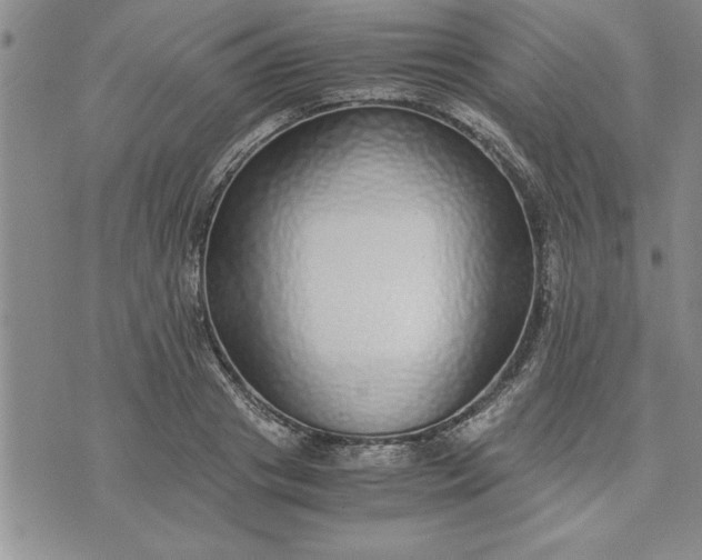 X0000071830841200607141658