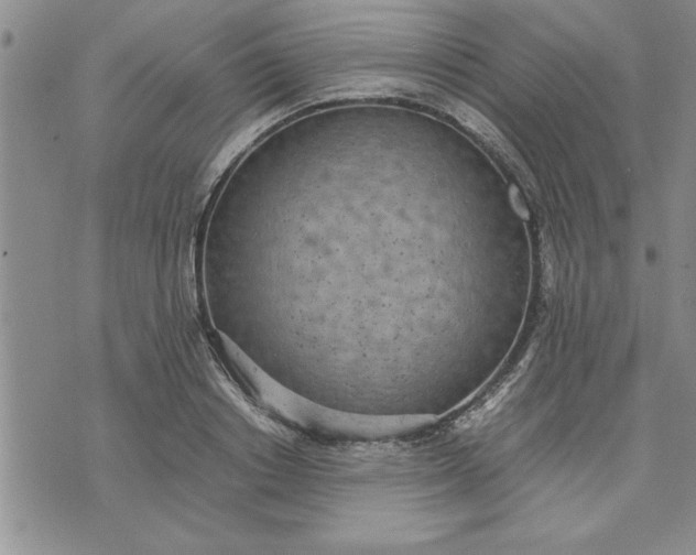 X0000071830842200607141658