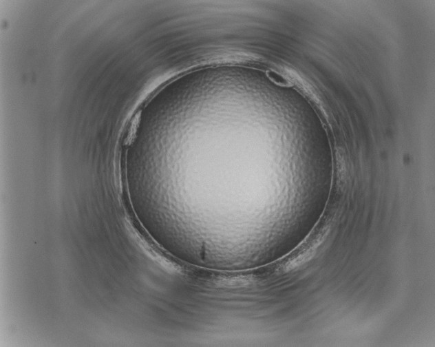 X0000071830843200607141658