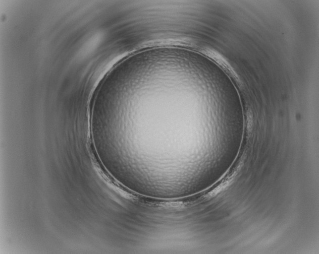 X0000071830844200607141658