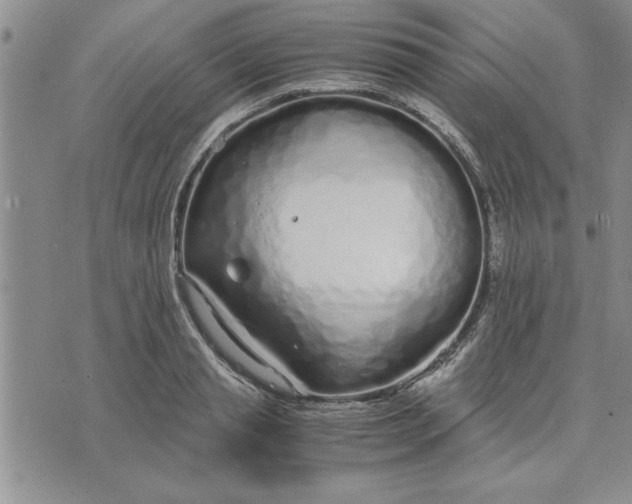 X0000071830845200607141658