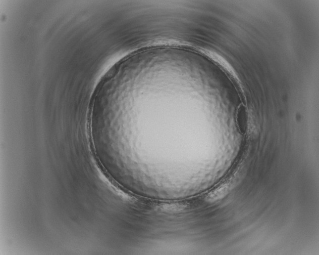 X0000071830847200607141658