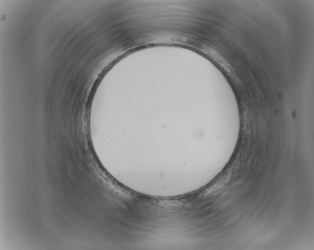 X0000071830848200607141658