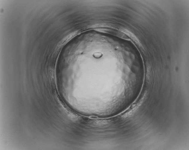 X0000071830849200607141658