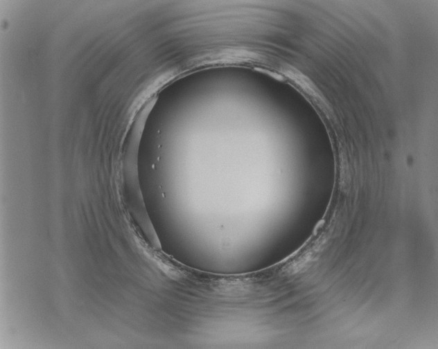 X0000071830850200607141658