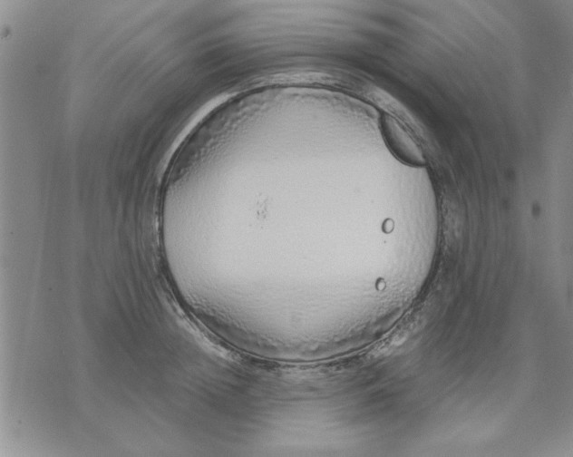 X0000071830852200607141658