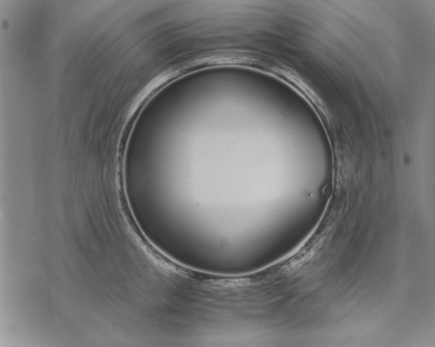 X0000071830853200607141658