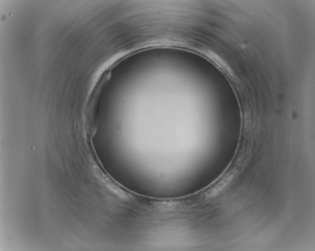 X0000071830854200607141658