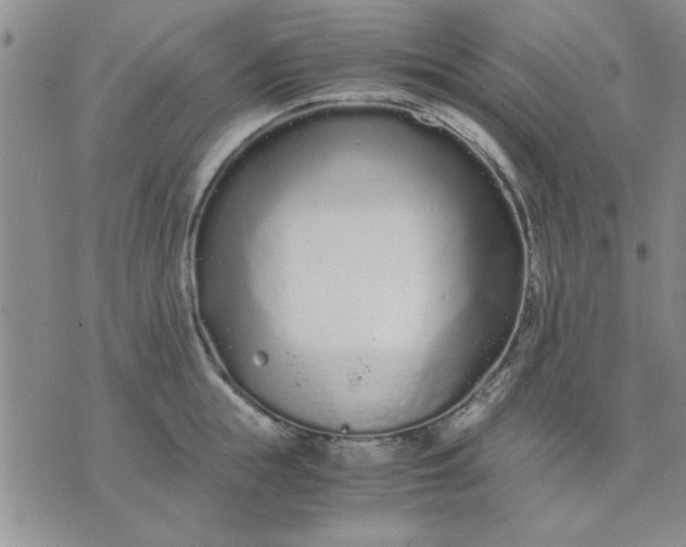 X0000071830855200607141658