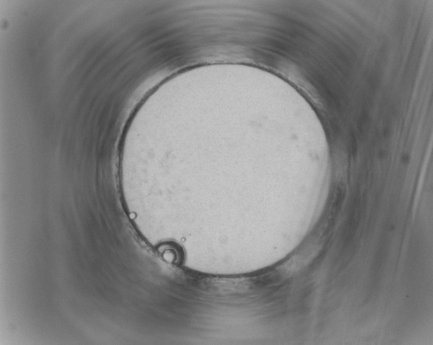 X0000071830856200607141658