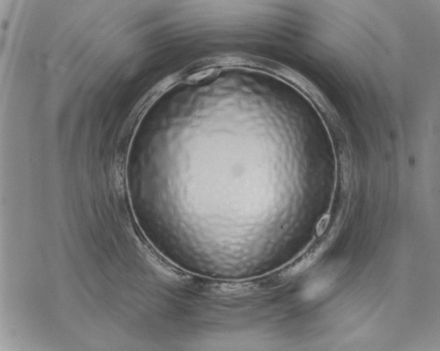 X0000071830857200607141658