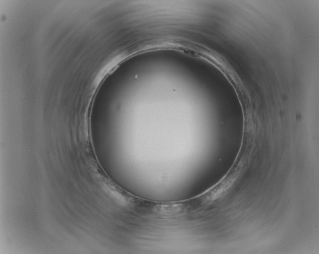 X0000071830858200607141658