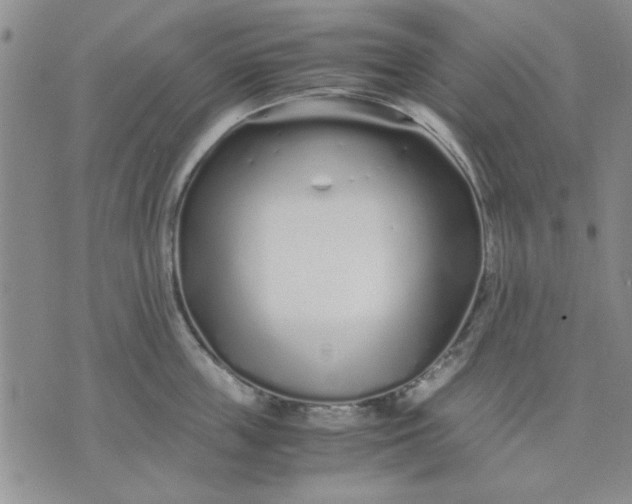 X0000071830859200607141658