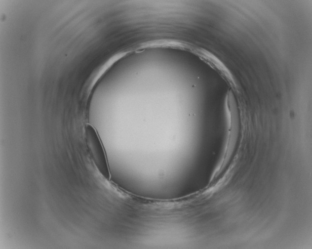 X0000071830860200607141658