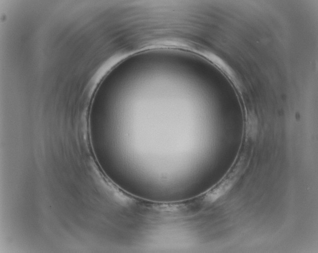 X0000071830862200607141658