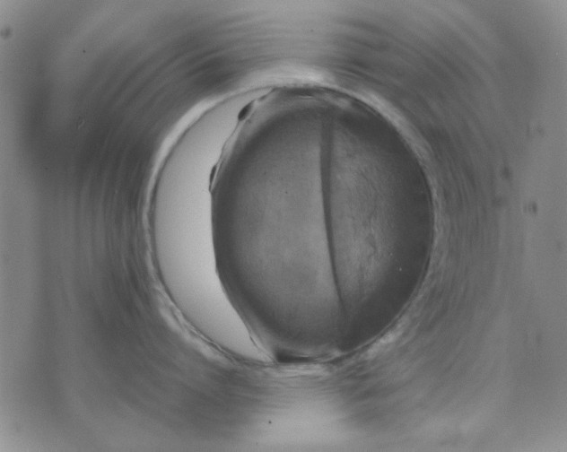 X0000071830864200607141658