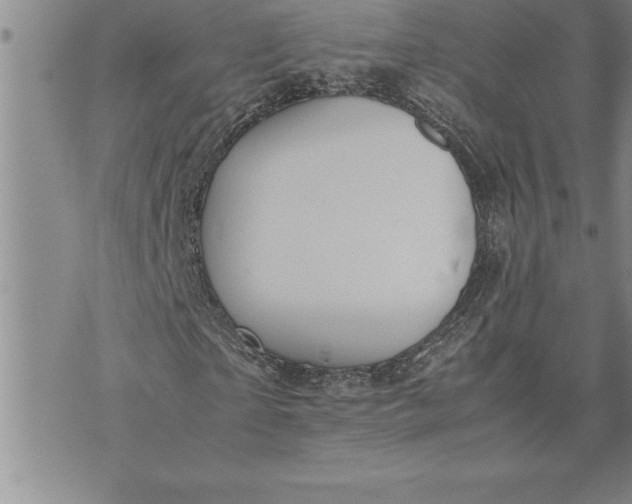 X0000071830865200607141658