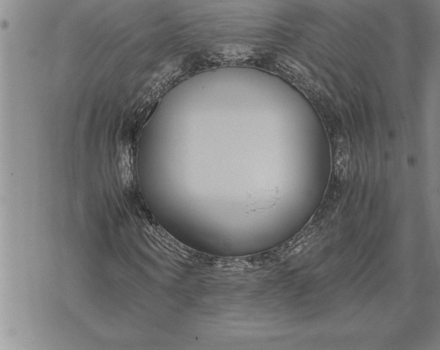 X0000071830866200607141658