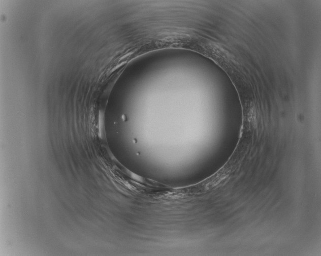 X0000071830868200607141658