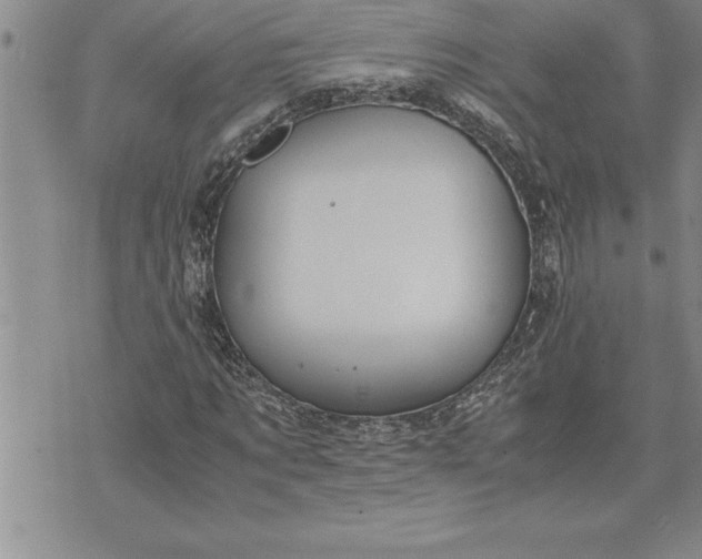 X0000071830869200607141658