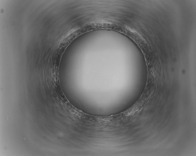 X0000071830870200607141658