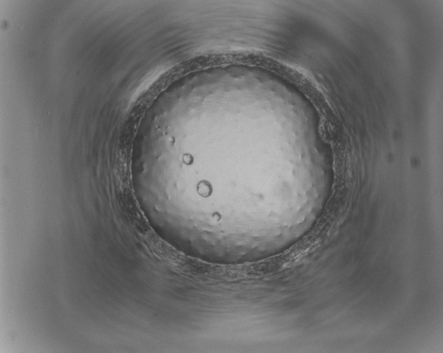 X0000071830871200607141658