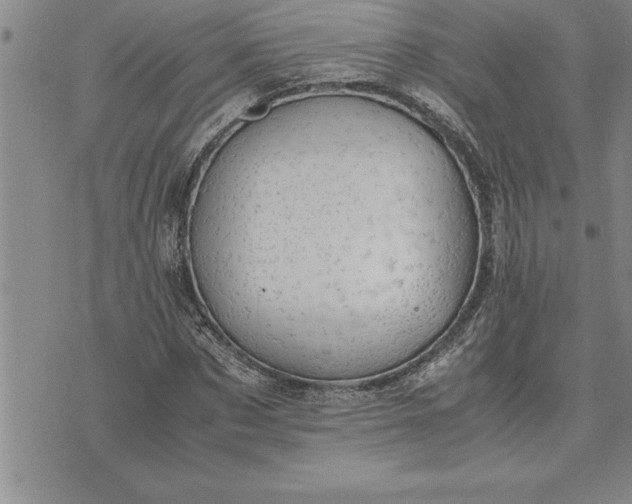 X0000071830873200607141658