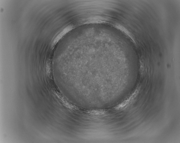 X0000071830874200607141657