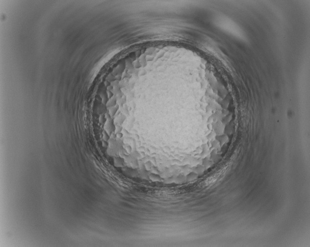 X0000071830875200607141657