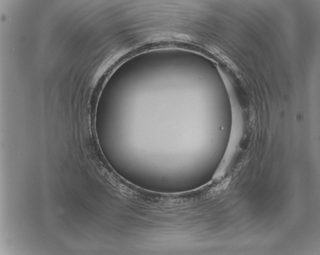 X0000071830877200607141657